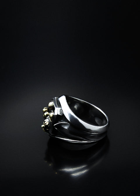 Joker Champion Ring | Abnormal Circus Collection