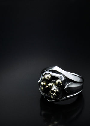 Joker Champion Ring | Abnormal Circus Collection