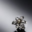 Yuri Ring | Standard Collection